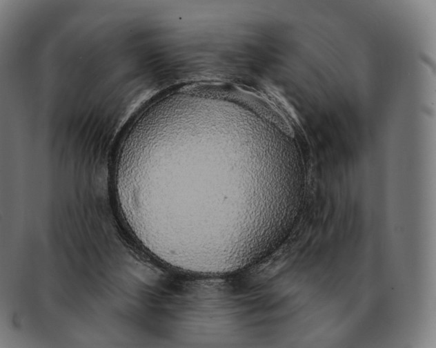 X0000091330108200708311444