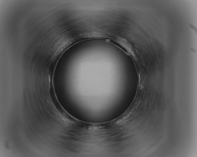X0000091330109200708311444
