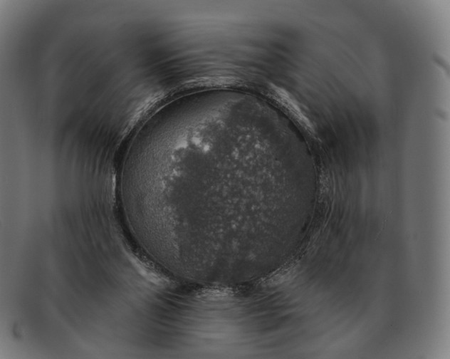 X0000091330110200708311444