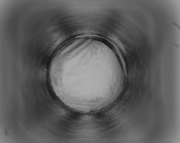 X0000091330111200708311444