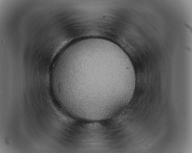 X0000091330112200708311444