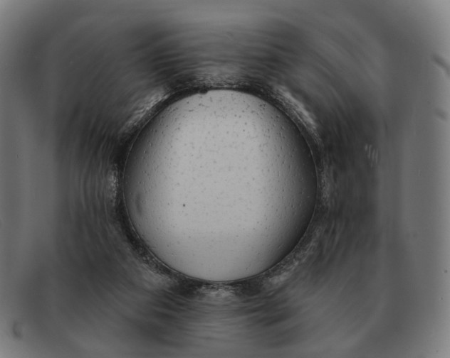 X0000091330113200708311444