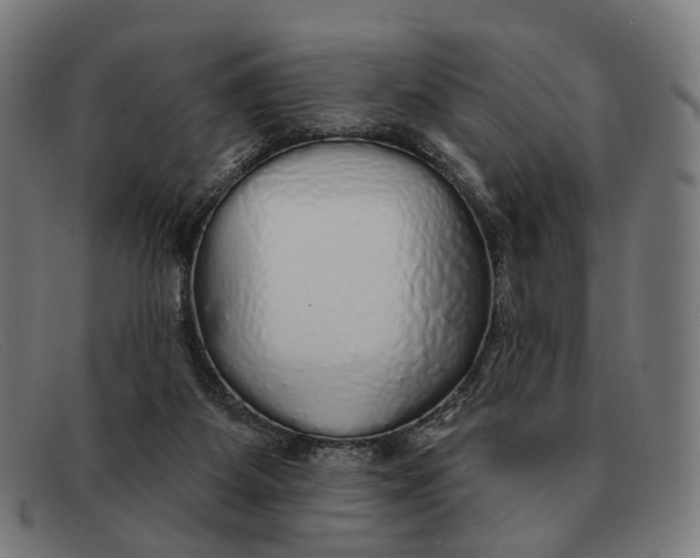 X0000091330115200708311444
