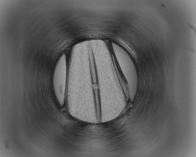 X0000091330117200708311444