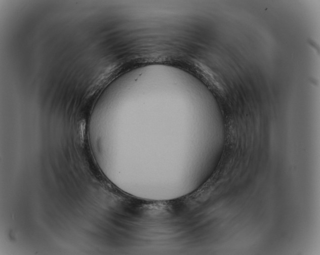 X0000091330118200708311444