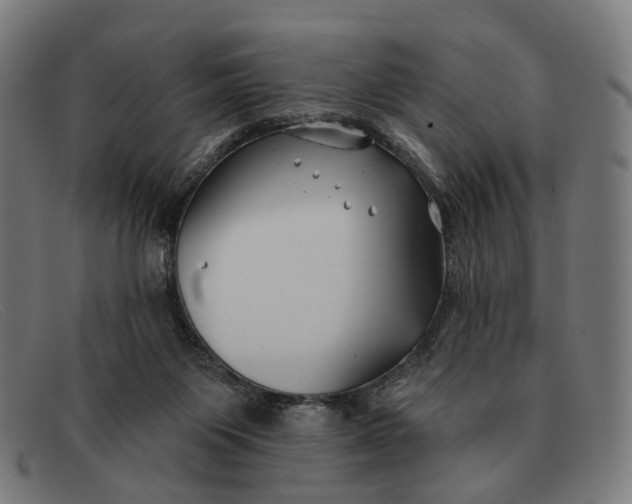 X0000091330119200708311444