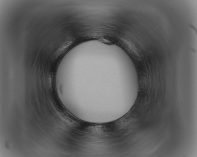 X0000091330120200708311444