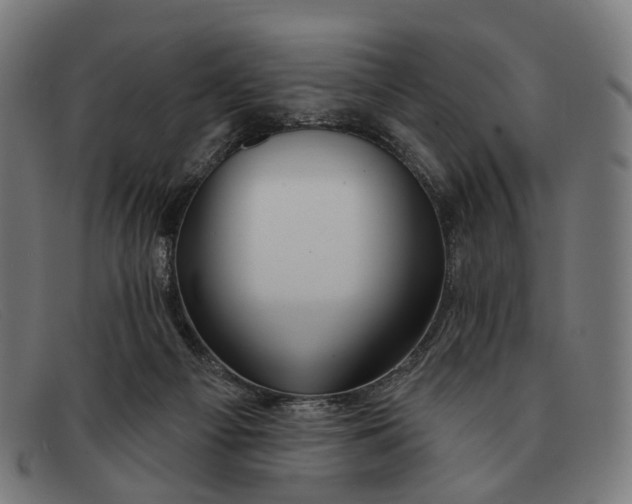 X0000091330121200708311444