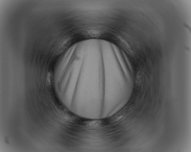 X0000091330122200708311444