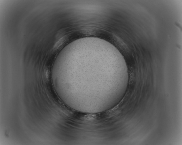 X0000091330124200708311444