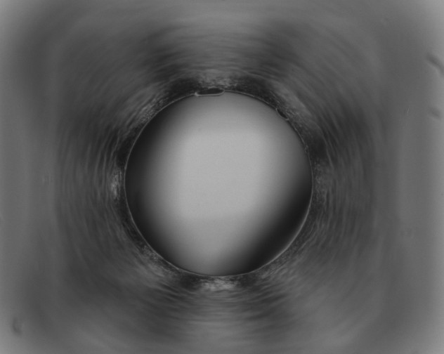 X0000091330125200708311444