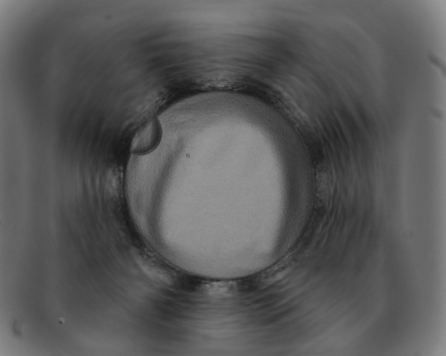 X0000091330126200708311444