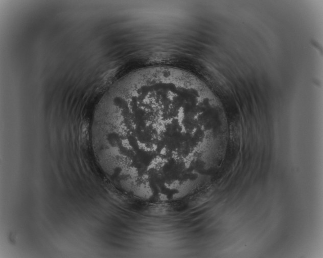X0000091330127200708311444