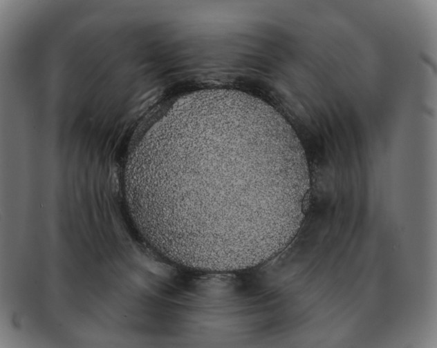 X0000091330128200708311444