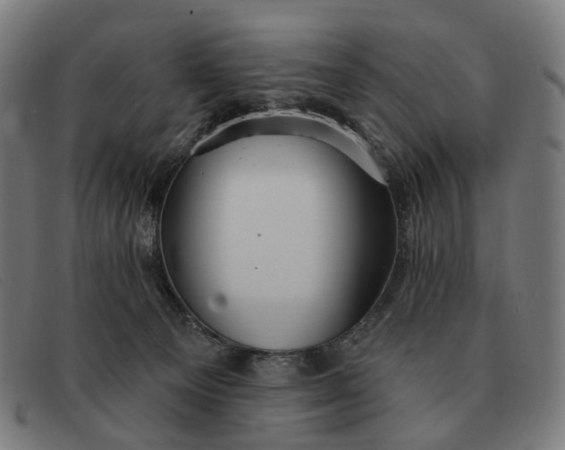 X0000091330129200708311444