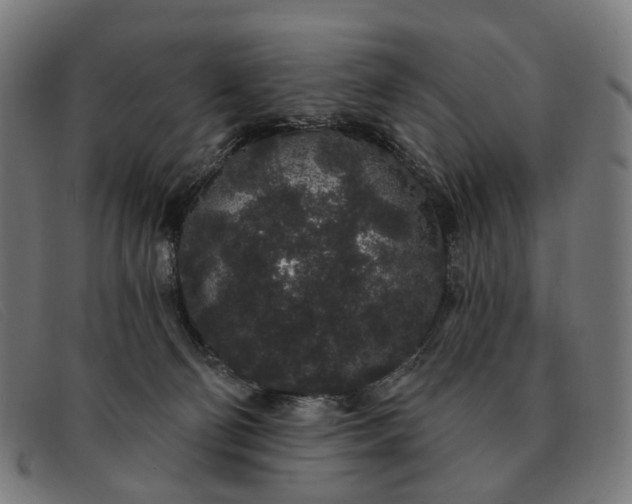 X0000091330130200708311444