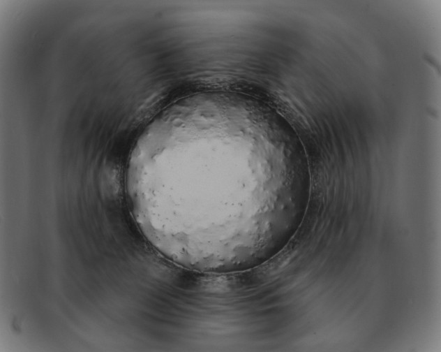 X0000091330131200708311444
