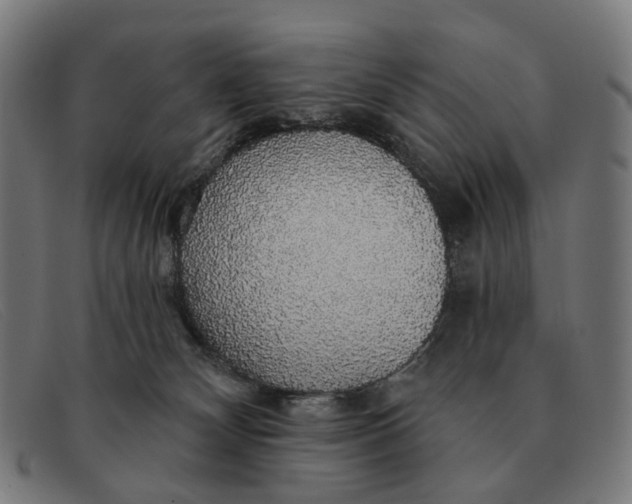 X0000091330132200708311444
