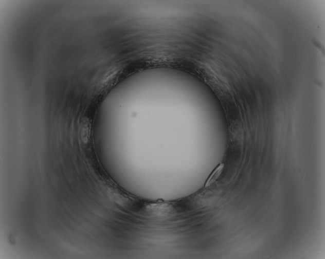 X0000091330133200708311444