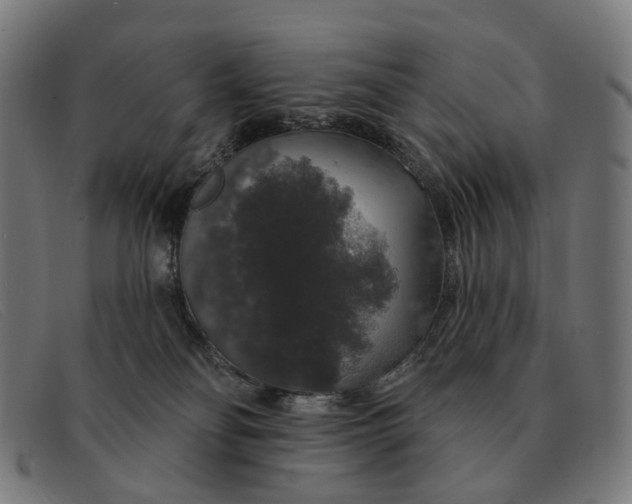 X0000091330134200708311444