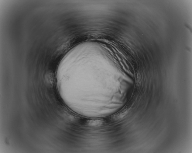 X0000091330135200708311444