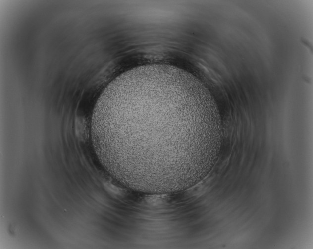 X0000091330136200708311444
