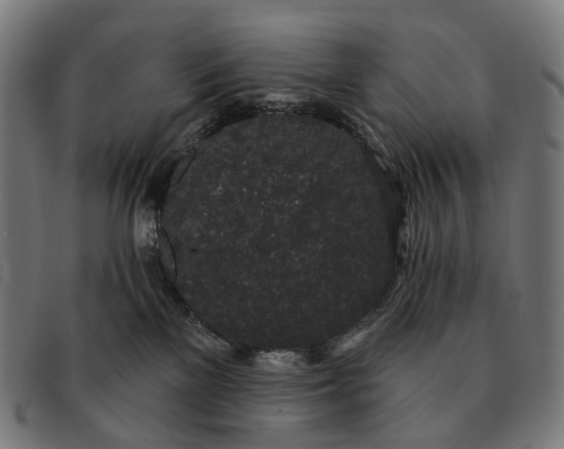 X0000091330137200708311444