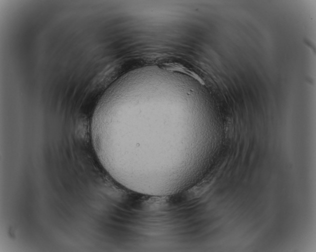X0000091330138200708311444