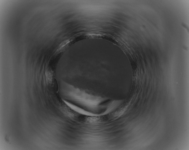 X0000091330139200708311444