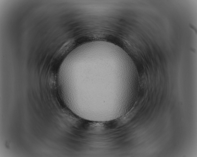X0000091330140200708311444