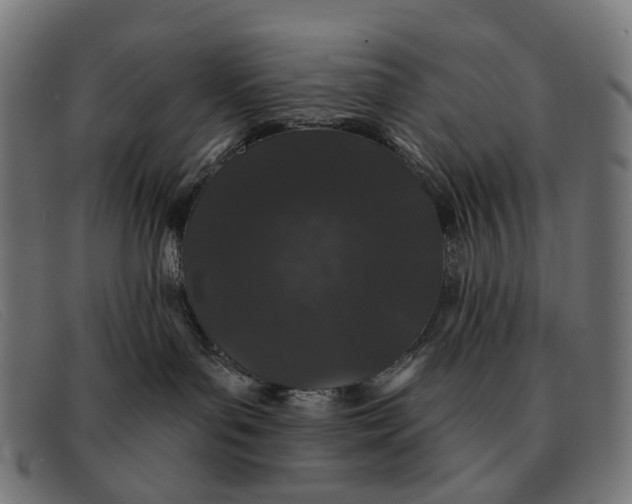 X0000091330143200708311443