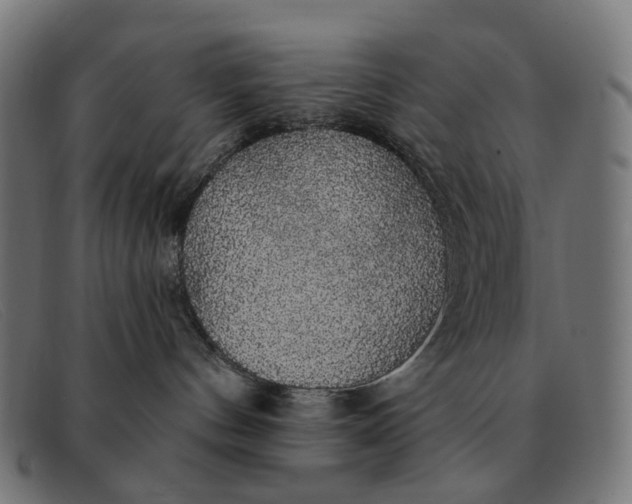 X0000091330144200708311443