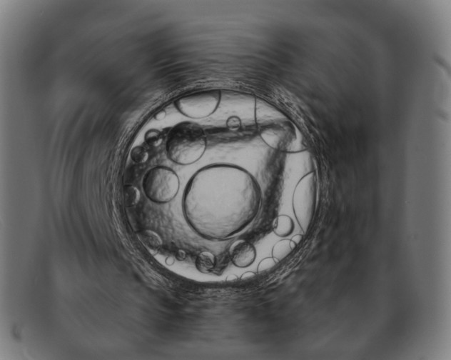 X0000091330145200708311443