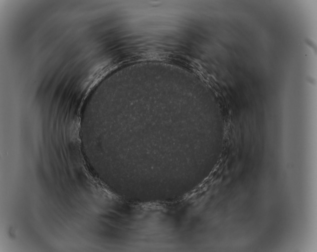 X0000091330146200708311443