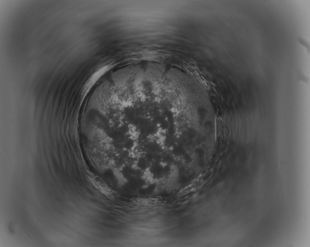 X0000091330147200708311443