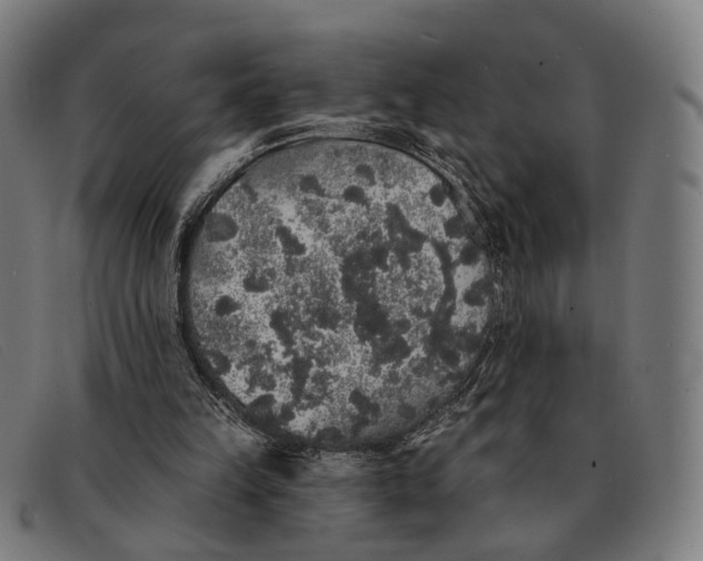 X0000091330149200708311443