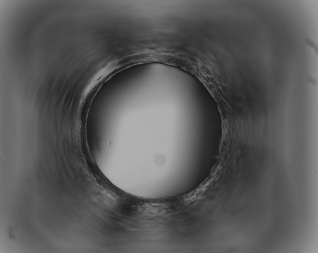 X0000091330150200708311443