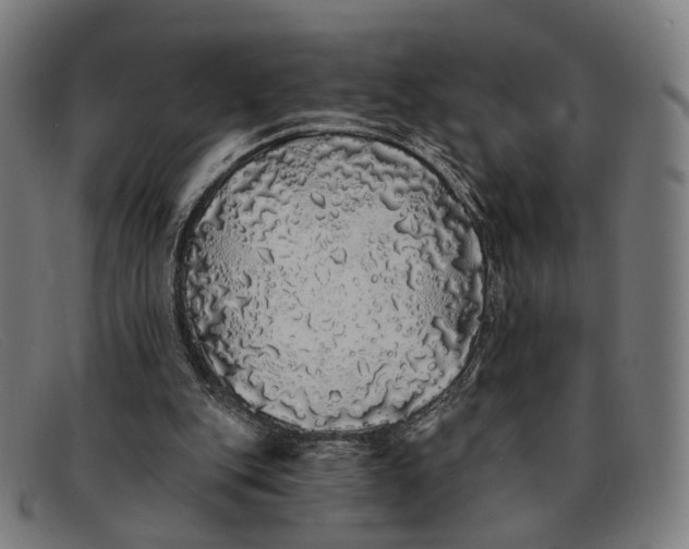 X0000091330151200708311443