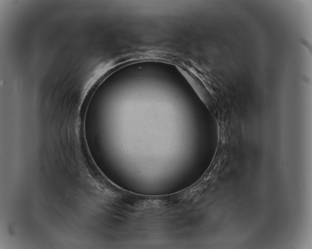 X0000091330152200708311443
