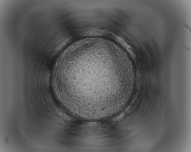 X0000091330153200708311443