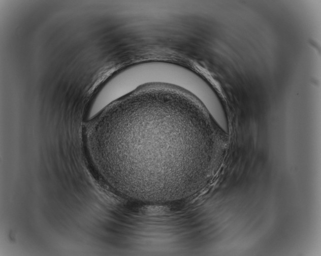 X0000091330154200708311443