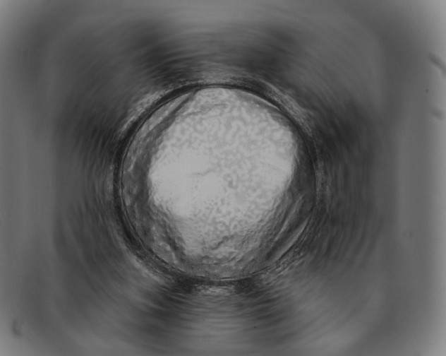 X0000091330155200708311443