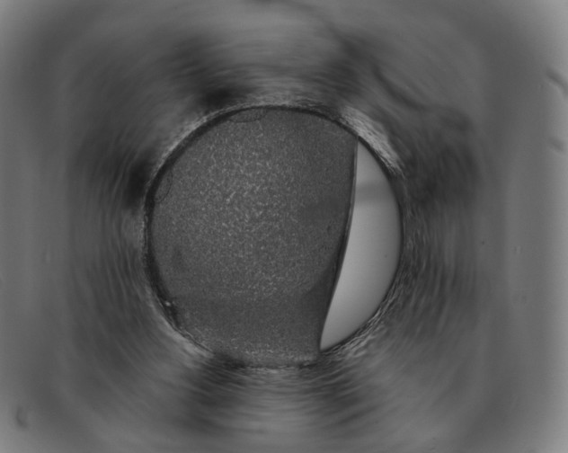 X0000091330156200708311443