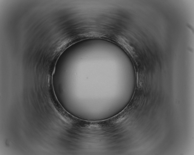 X0000091330157200708311443