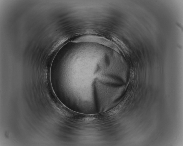 X0000091330158200708311443