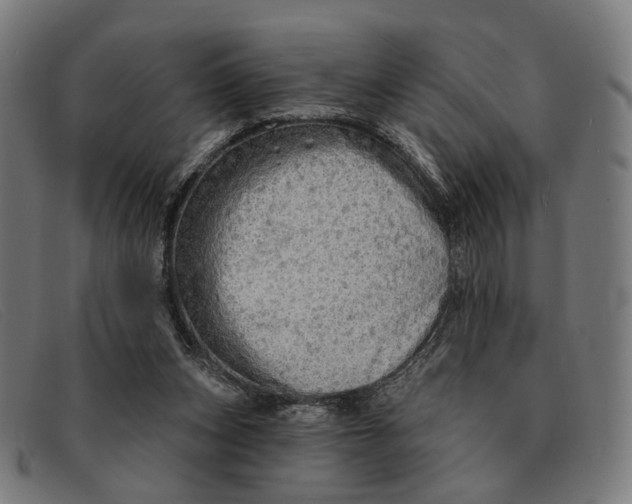 X0000091330159200708311443