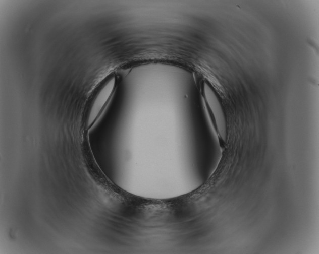 X0000091330160200708311443