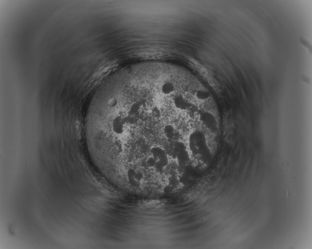 X0000091330161200708311443