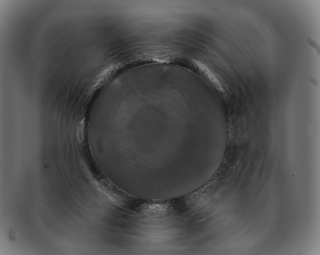 X0000091330163200708311443