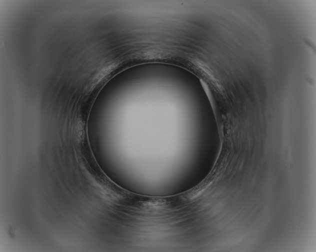 X0000091330164200708311443